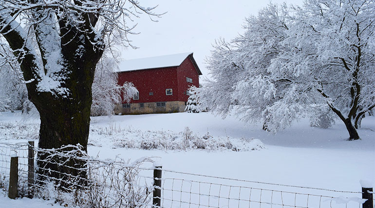 Red barn and snow covered field and trees