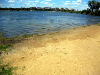 Image: Bernies - beach is closed