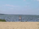 Image: Olbrich - beach is closed