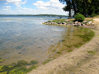 Image: Olin - playa está closed